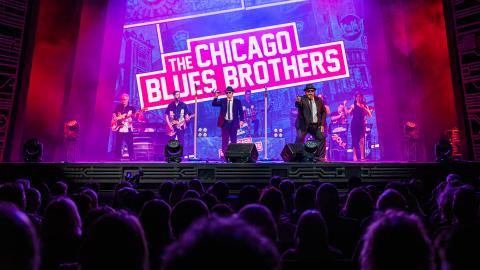 Chicago Blues Brothers on stage