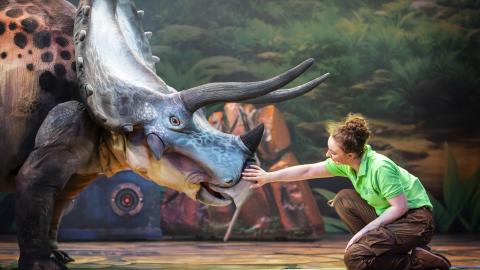 A woman reaching out her hand to a dinosaur