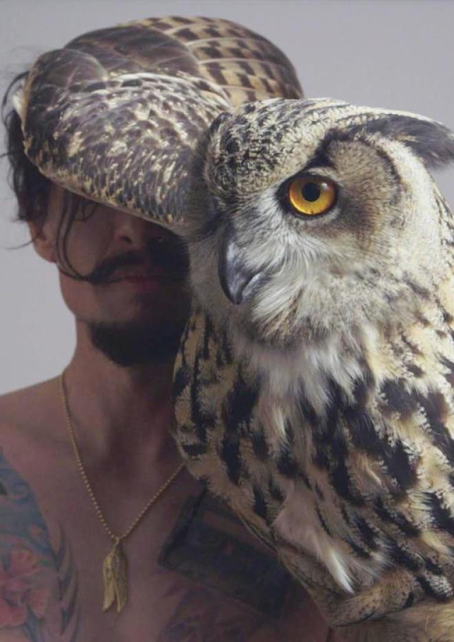 A portrait image of Justin Hawkins holding an owl.
